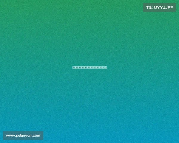 澳门站女排赛事激情对决世界强队汇聚争夺冠军荣耀